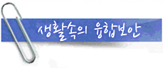 생활속의 융합보안
